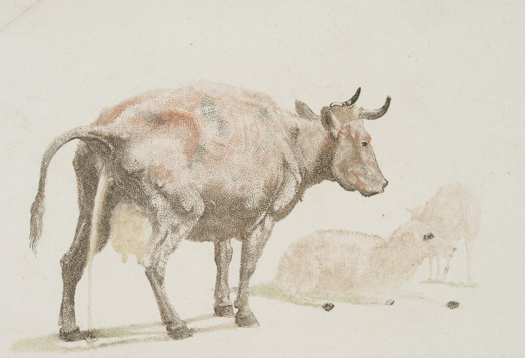 Werk von Johann Teyler