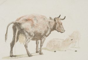 Die pissende Kuh
