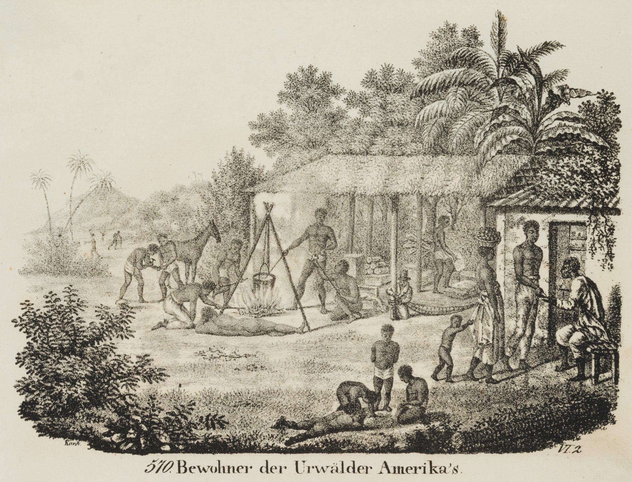 Bewohner der Urwälder Amerikas