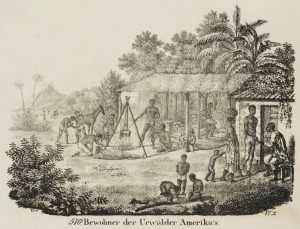 Bewohner der Urwälder Amerikas