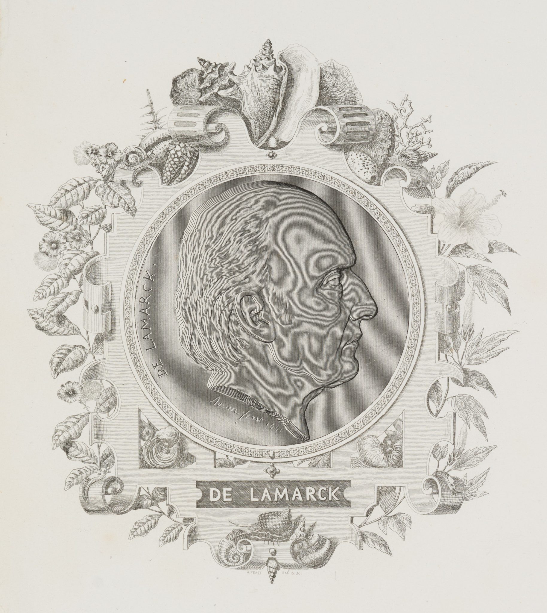 Portraitmedaillon von De Lamarck