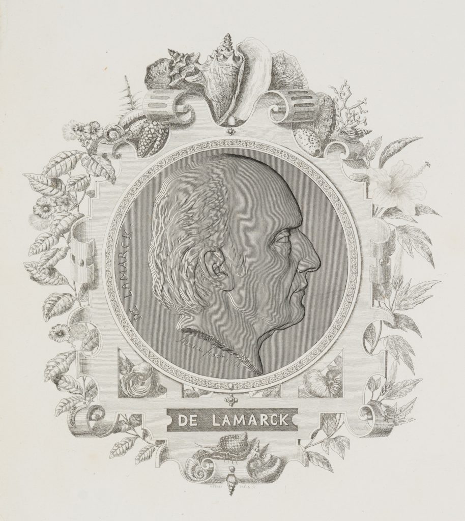 Werk von Adrien Féart