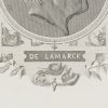 Ansicht 4