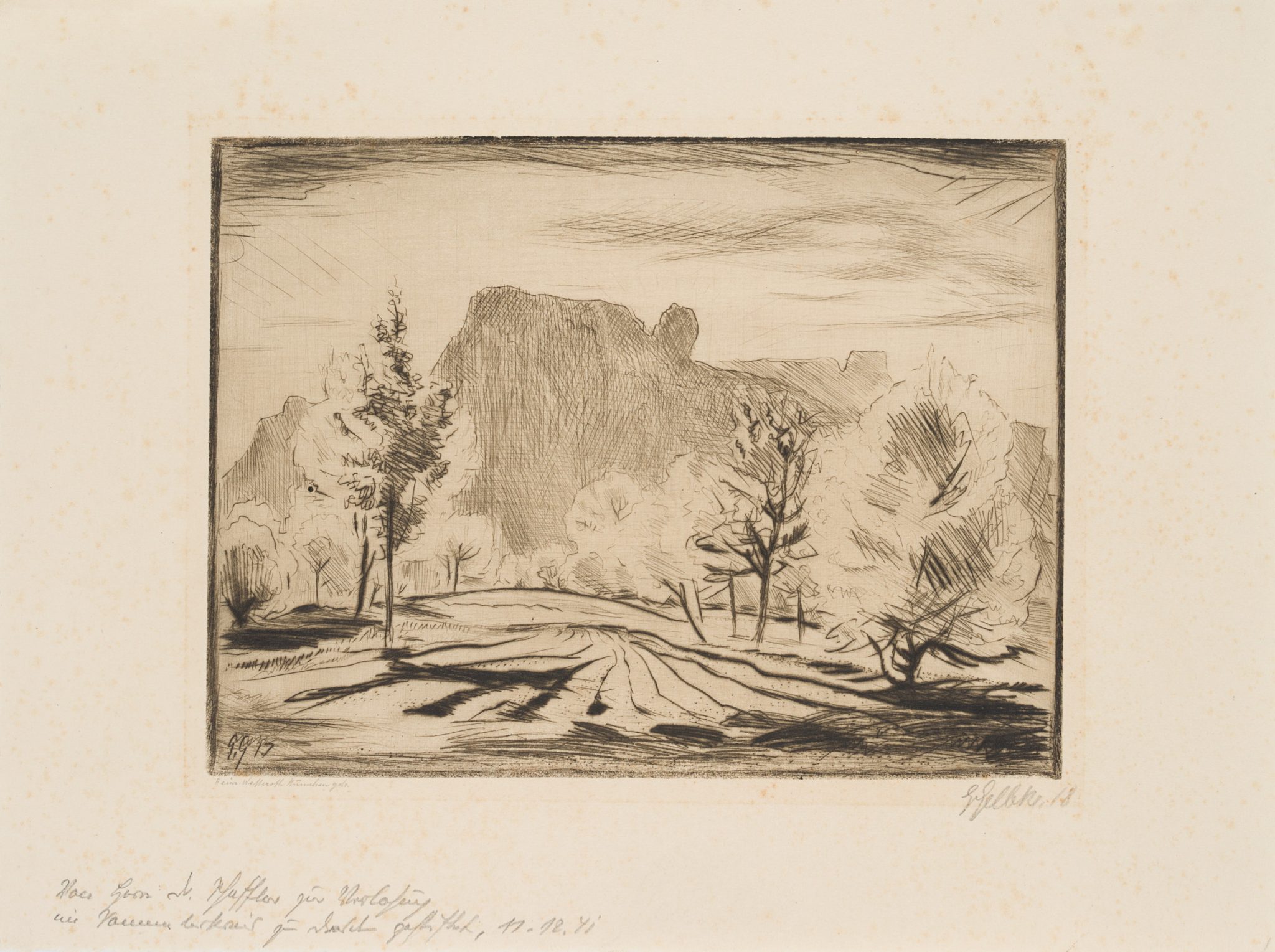 Harzlandschaft