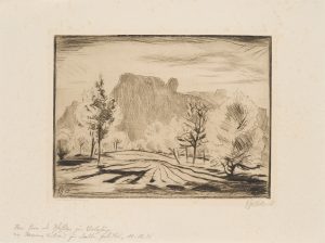 Harzlandschaft
