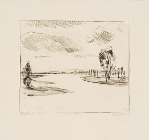 Überschwemmte Auenlandschaft