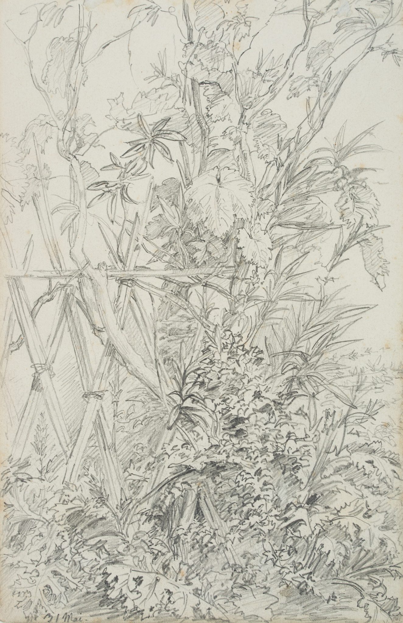 Wiesenstück am Spalier