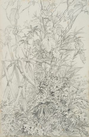 Wiesenstück am Spalier