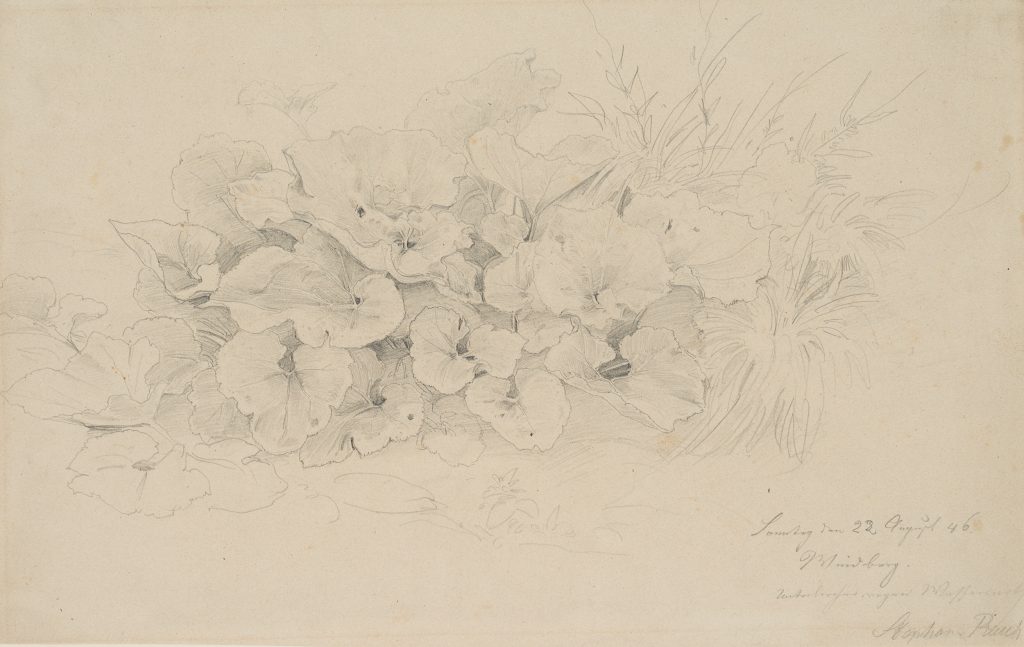 Werk von Stephan Rauch