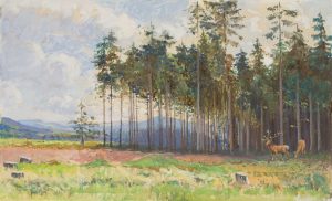 Rotwild am Kiefernwald