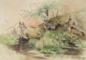 Naturstudie am Moor