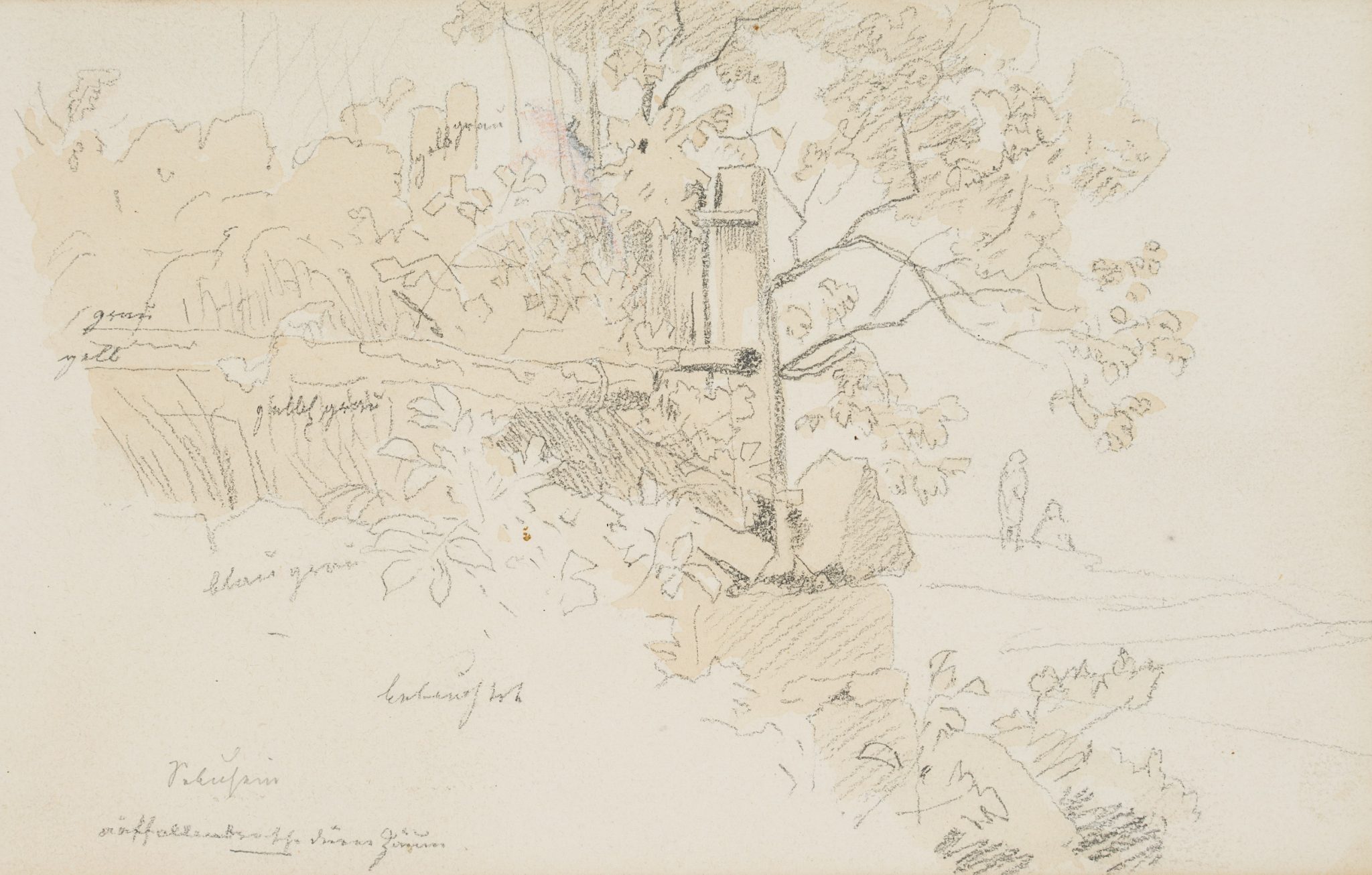 Wilder Garten