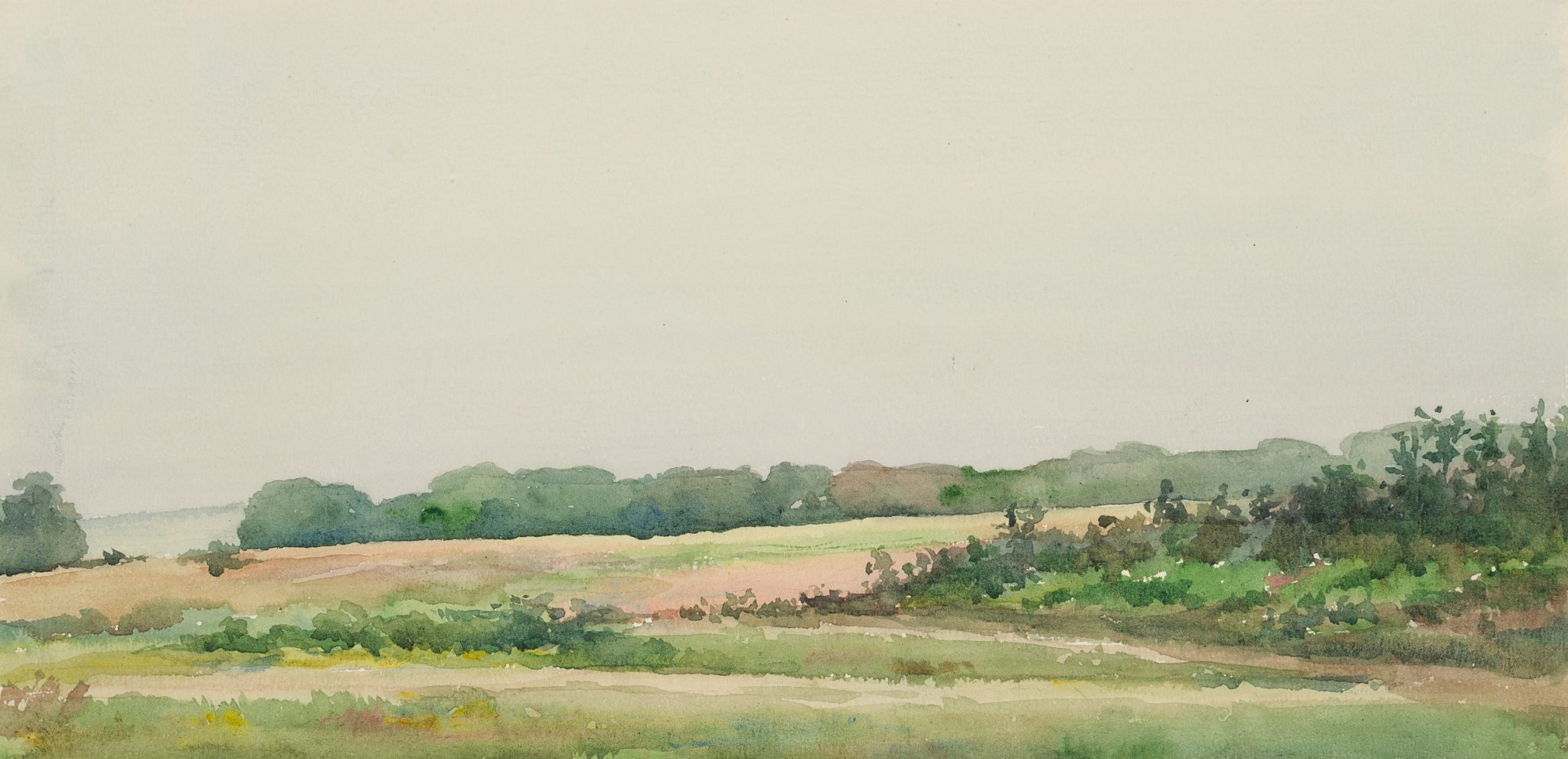 Wiesenlandschaft mit Sträuchern