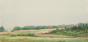 Wiesenlandschaft mit Sträuchern