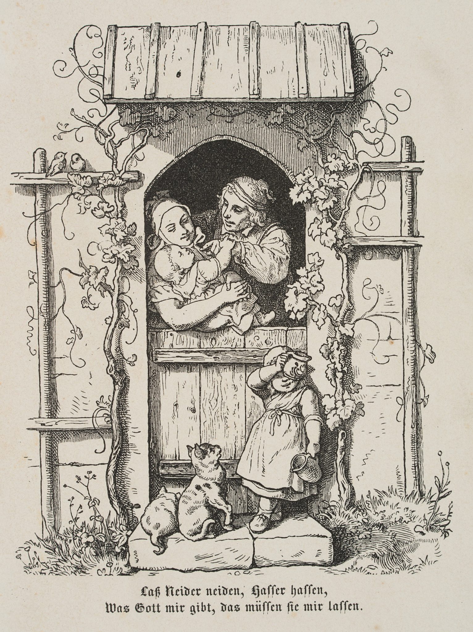 Lass Neider neiden