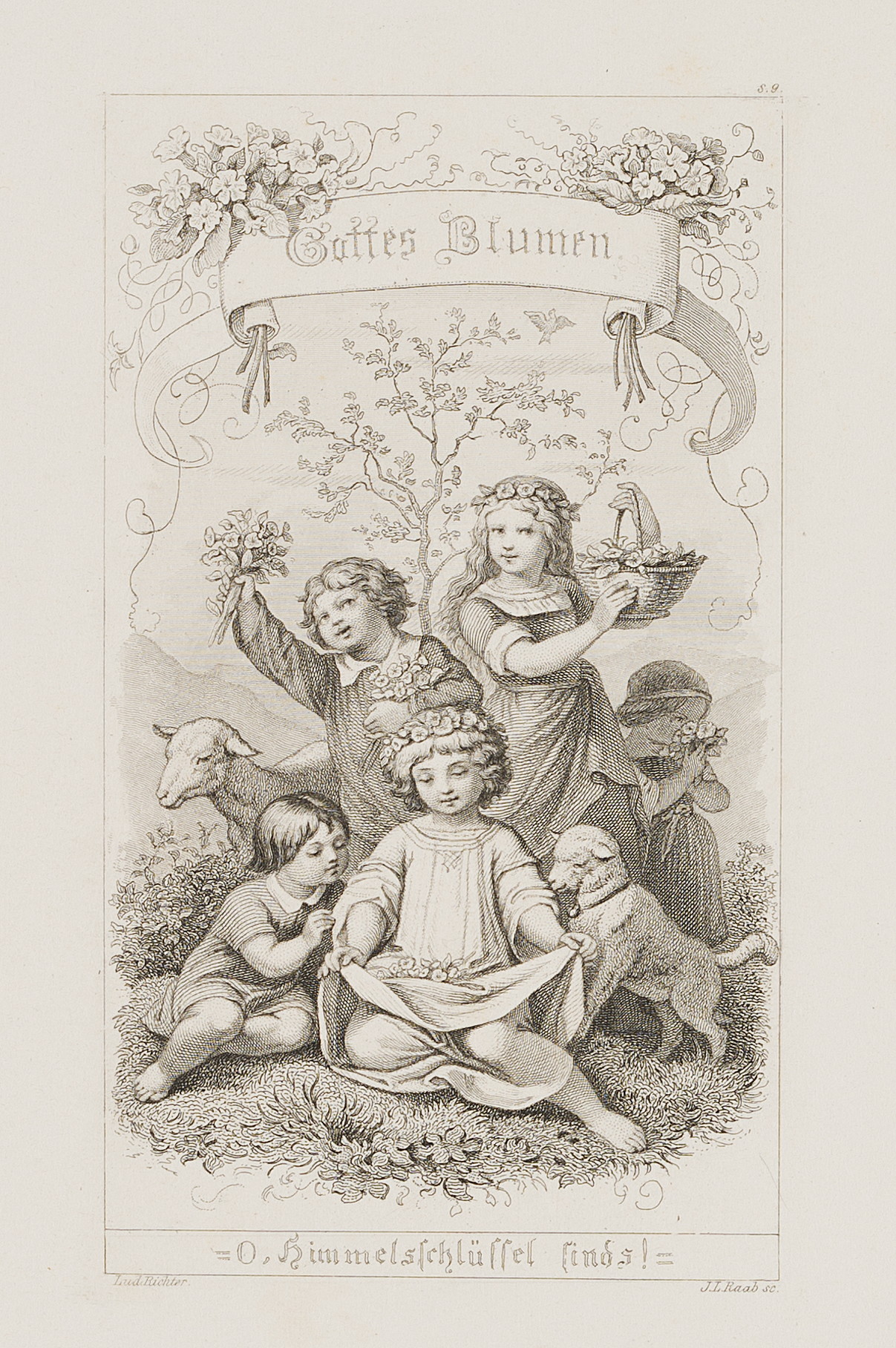 Gottes Blumen, Himmelsschlüssel