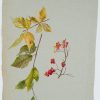 Ansicht 2