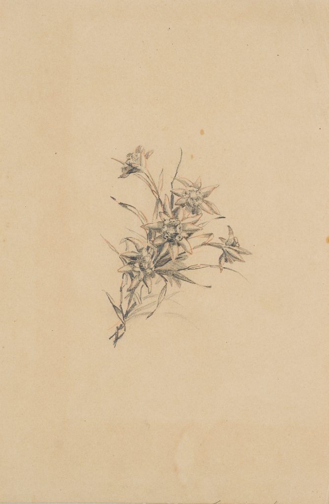 Werk von Sophie de Niederhäusern