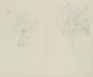 Sommerliche Wiesenblumen