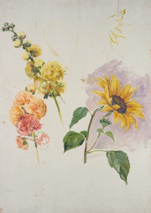 Sonnenblume und rotgelbe Blüten
