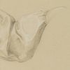 Ansicht 4