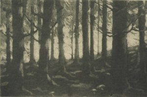 Waldstück