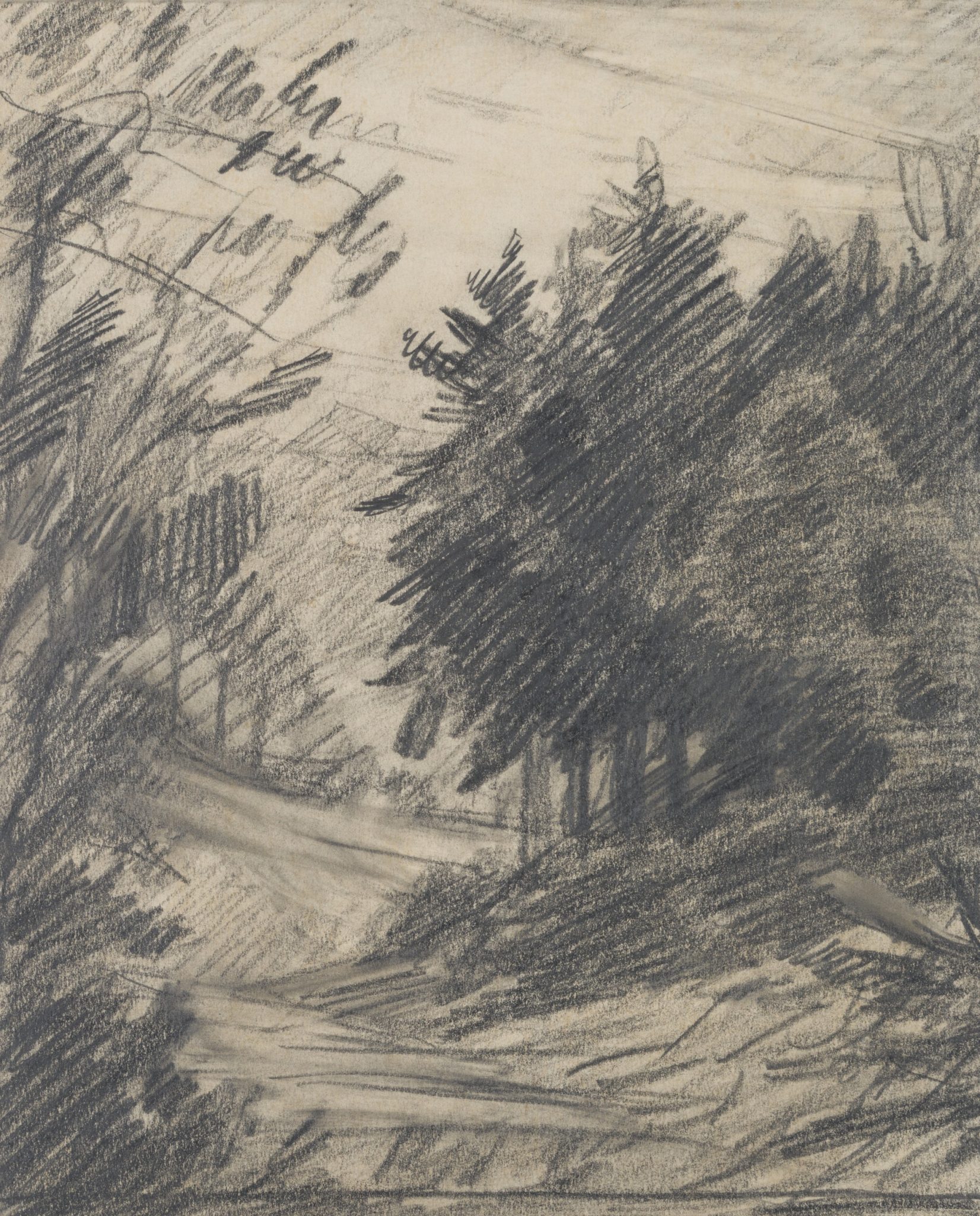 Waldstück mit Schneise