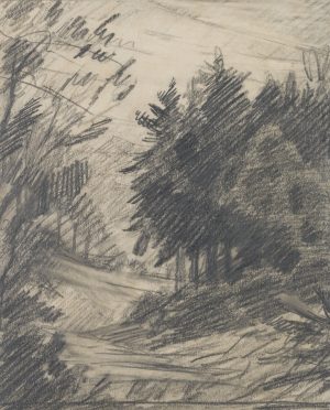 Waldstück mit Schneise