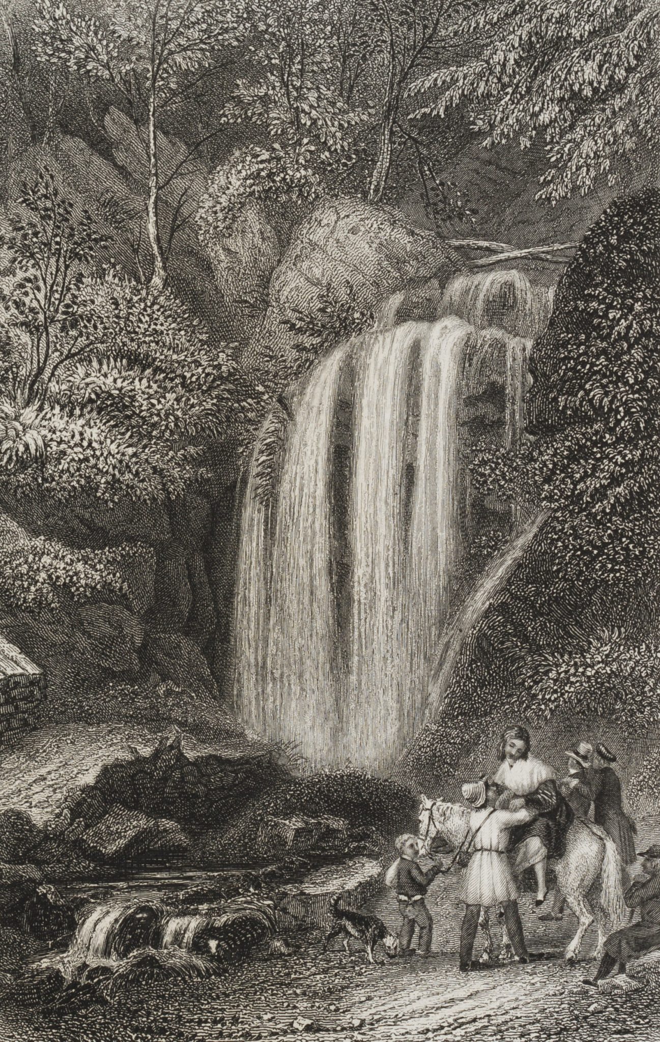 Amselfall