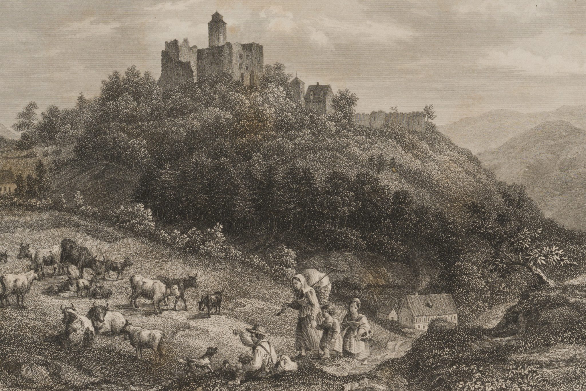 Die Kiensburg