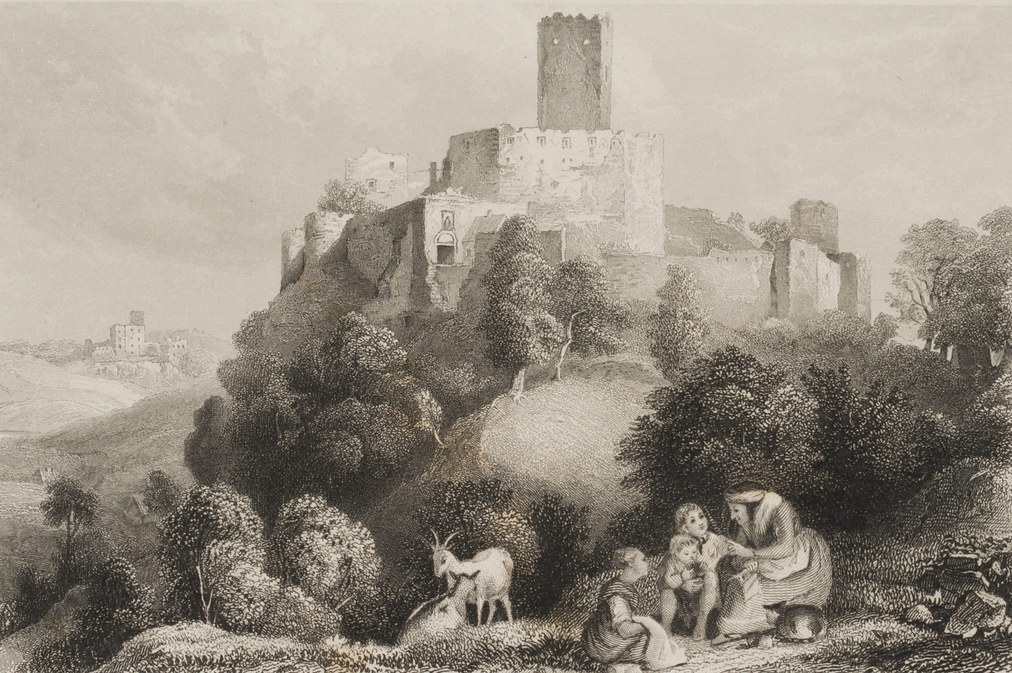 Schweinhausburg. Burg Swiny