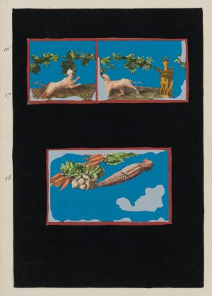 Hunde, Weinranken und Gemüse
