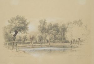 Kopfweiden im Park von Schönhausen