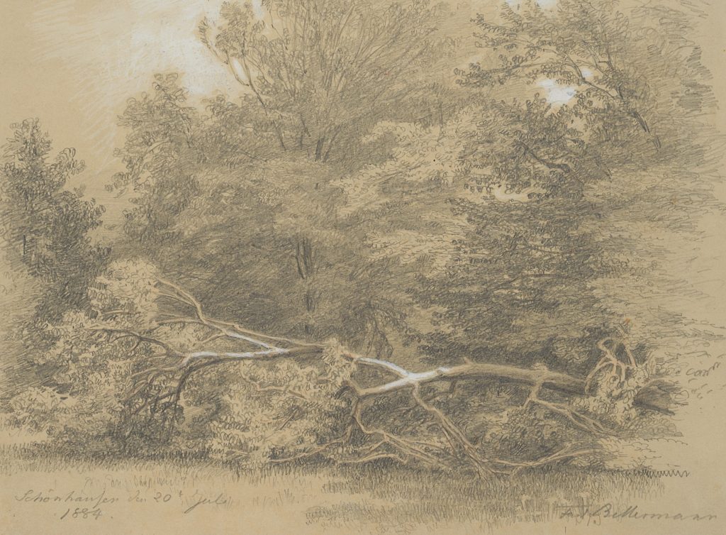 Werk von Ferdinand Konrad Bellermann