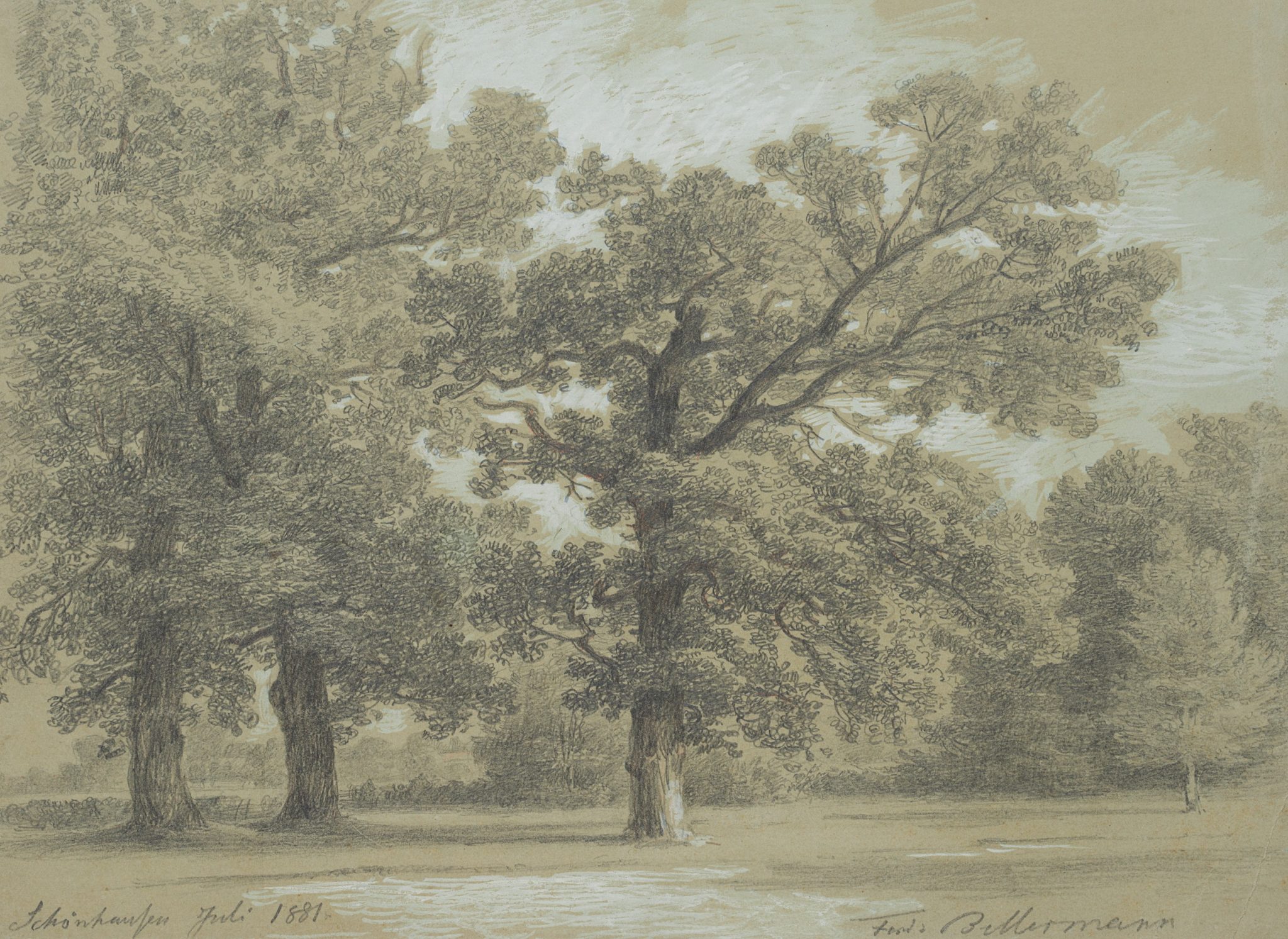 Bäume im Park von Schönhausen