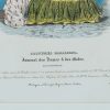 Ansicht 4