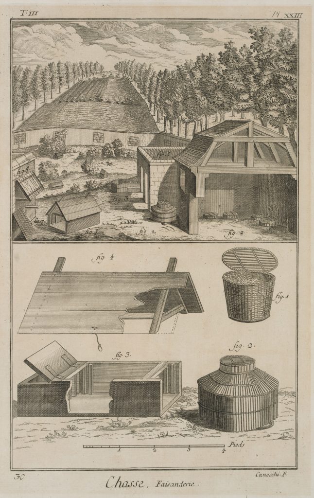 Werk von Giovanni Canocchi