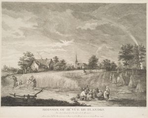 Getreideernte in Flandern
