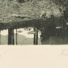 Ansicht 4
