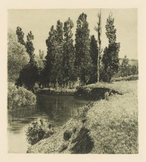 Flusslandschaft mit Auenwald