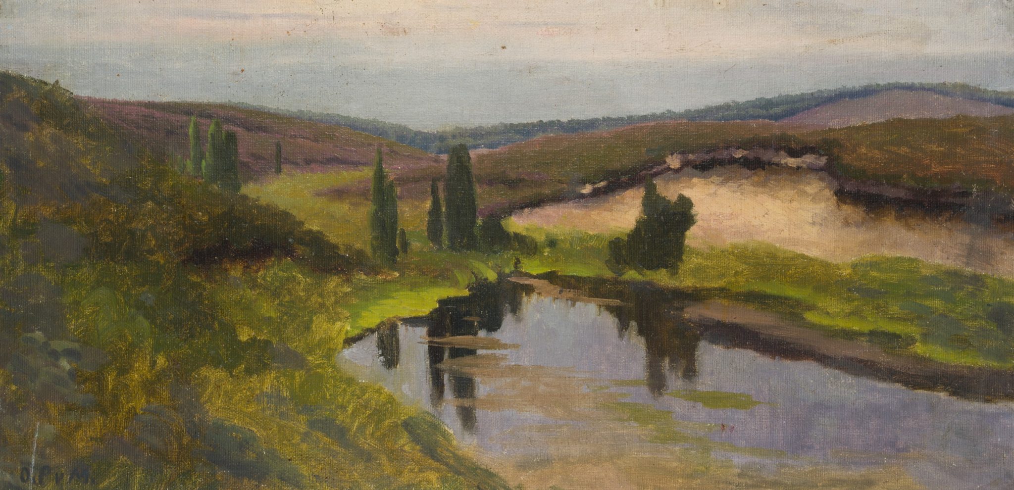 Sumpf- und Heidelandschaft