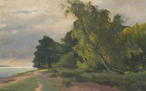Küste mit Wald