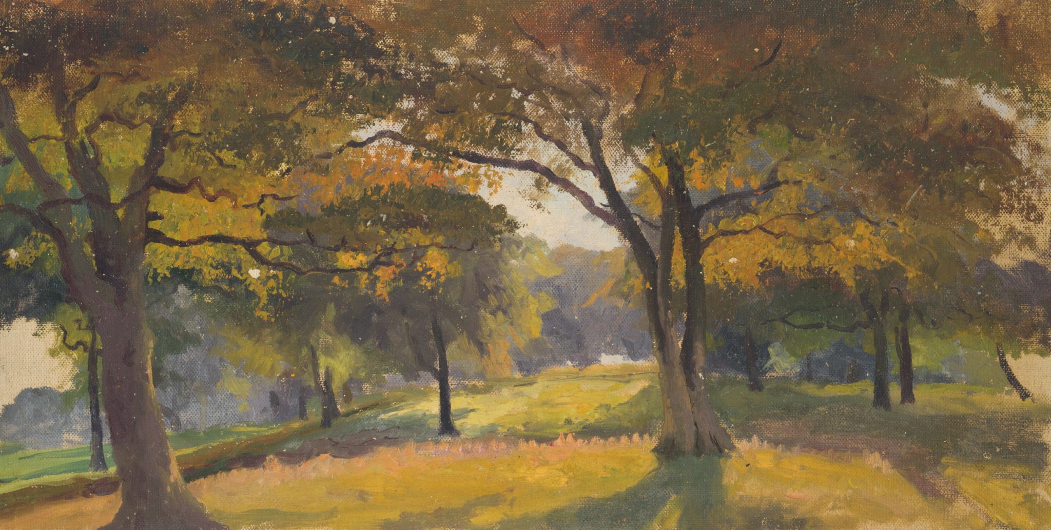 Wiese mit Bäumen