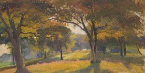 Wiese mit Bäumen