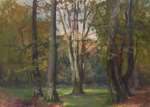 Wiese mit Bäumen