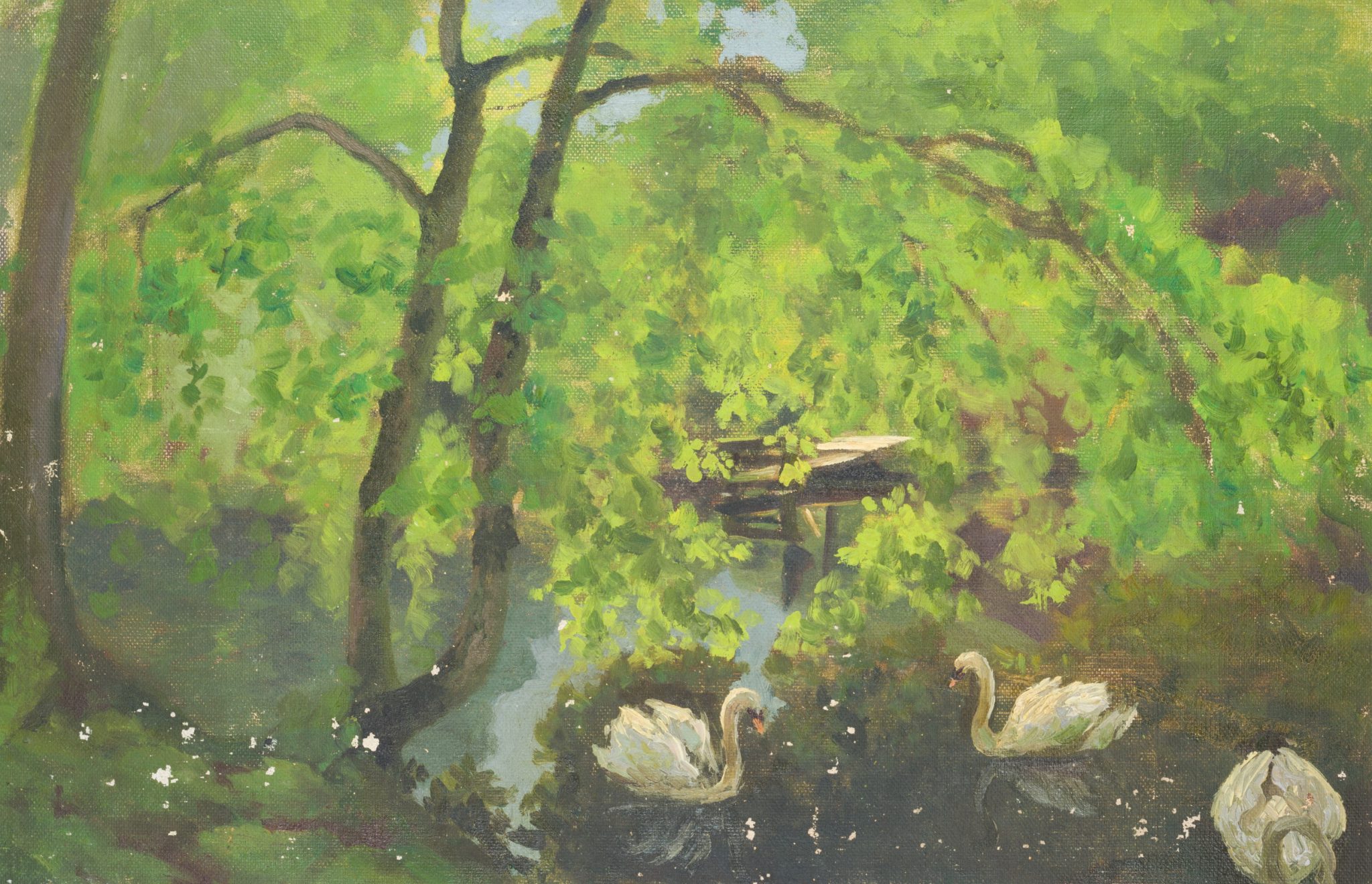 Schwäne am Teich