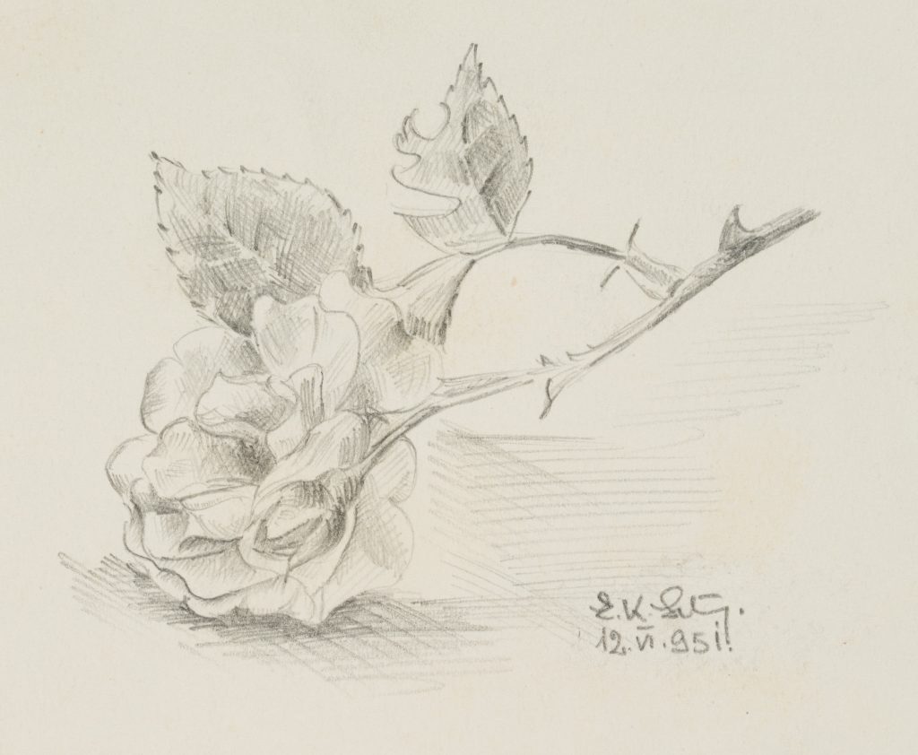 Werk von Erwin Schunn