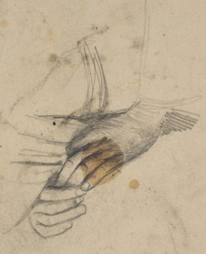 Handstudie