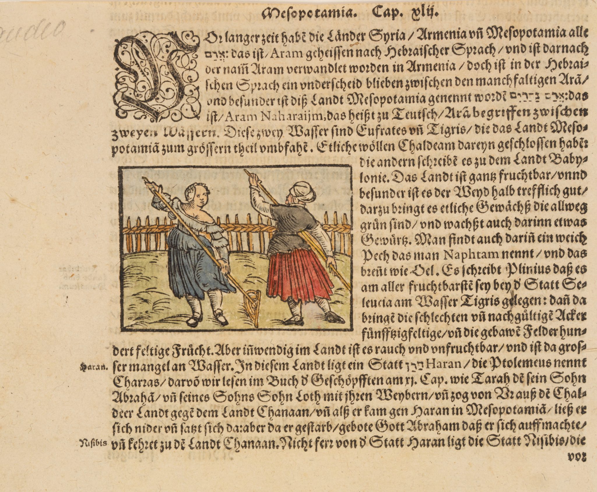 Mesopotamia. Ackerbau