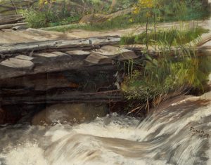 Naturstück an Bretterbrücke bei Fusch